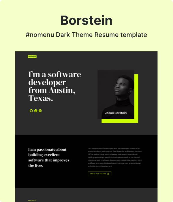 Borstein - Dark Theme Resume Template for Developer