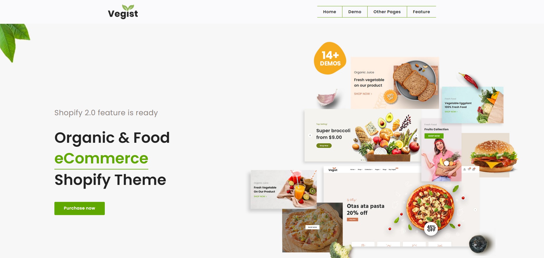 Vegist-The-Vegetables-Supermarket-Organic-Food-eCommerce-Shopify
